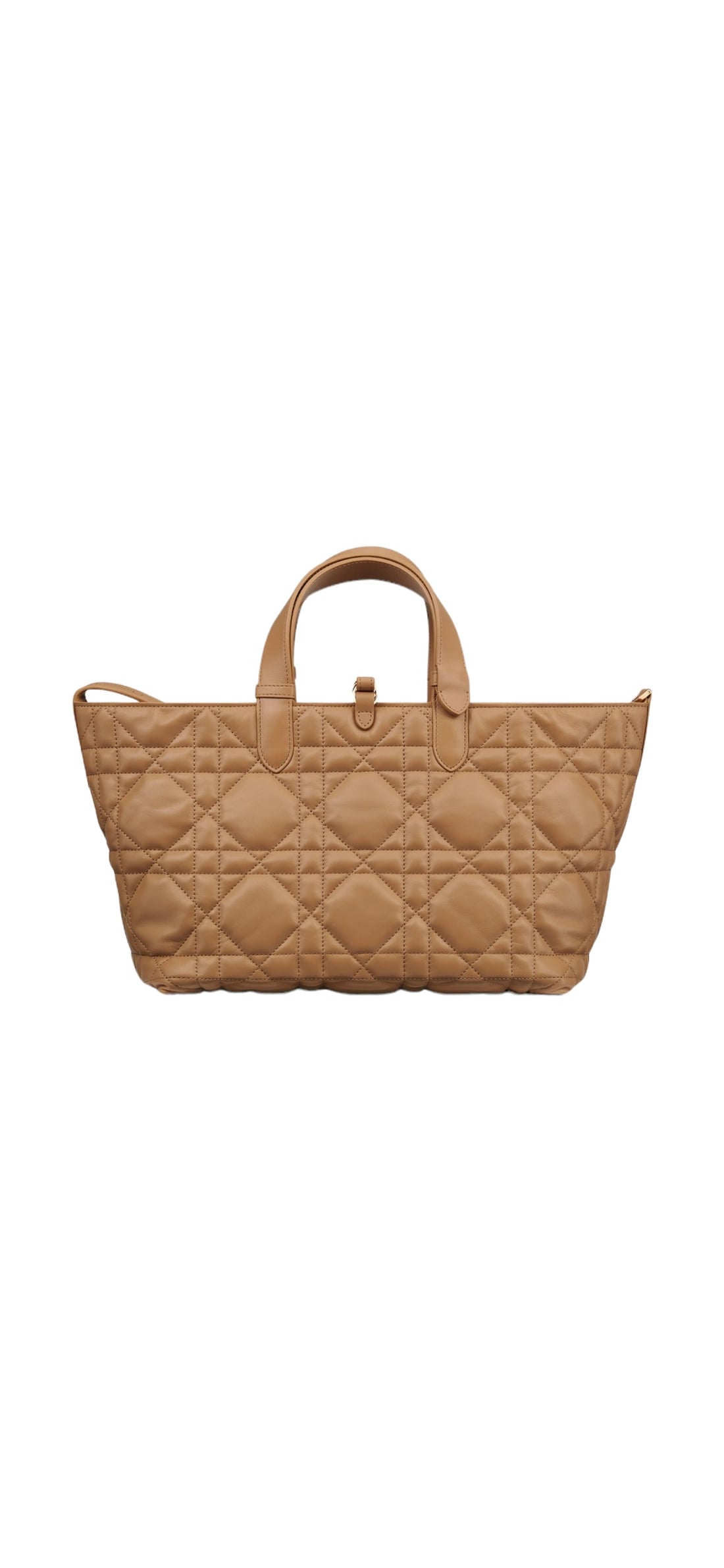 Christian Dior Toujours Tasche Medium