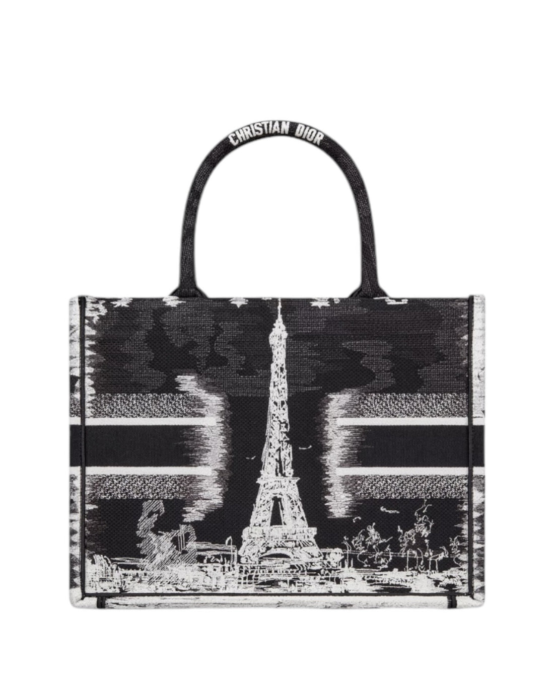 Christian Dior Book Tote Bag in Medium in Paris Stickerei