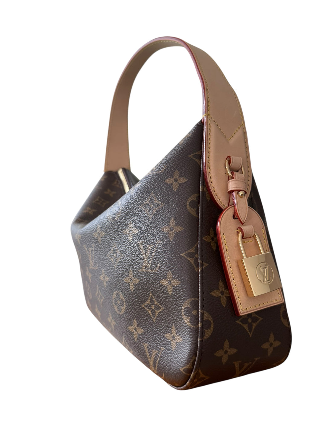 Louis Vuitton Slouchy pm in Monogram Canvas