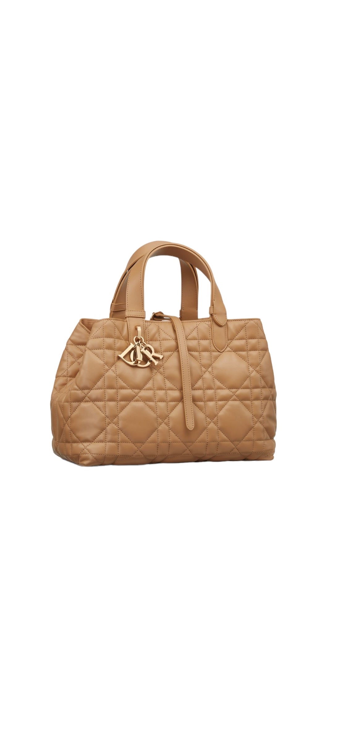 Christian Dior Toujours Tasche Medium
