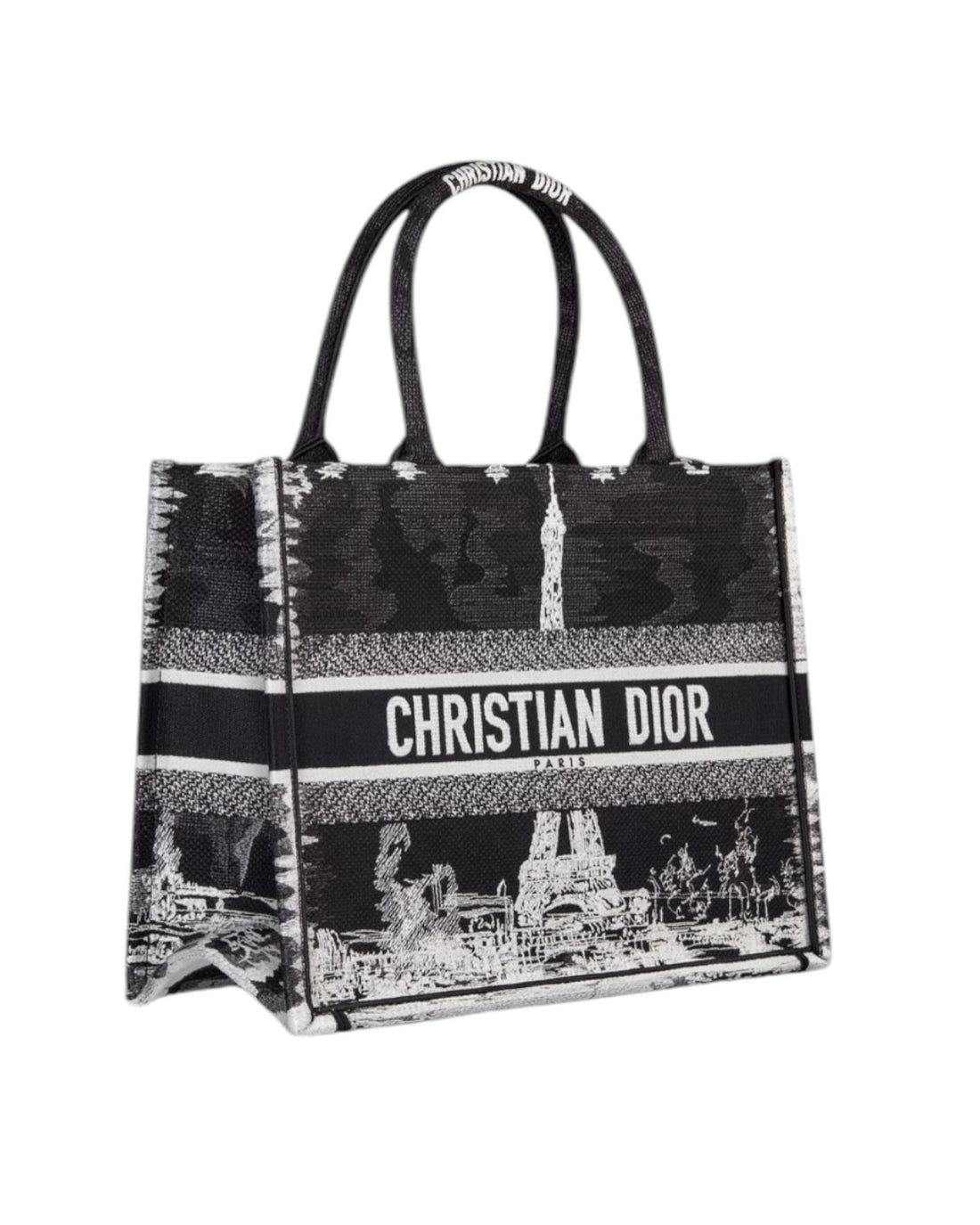 Christian Dior Book Tote Bag in Medium in Paris Stickerei