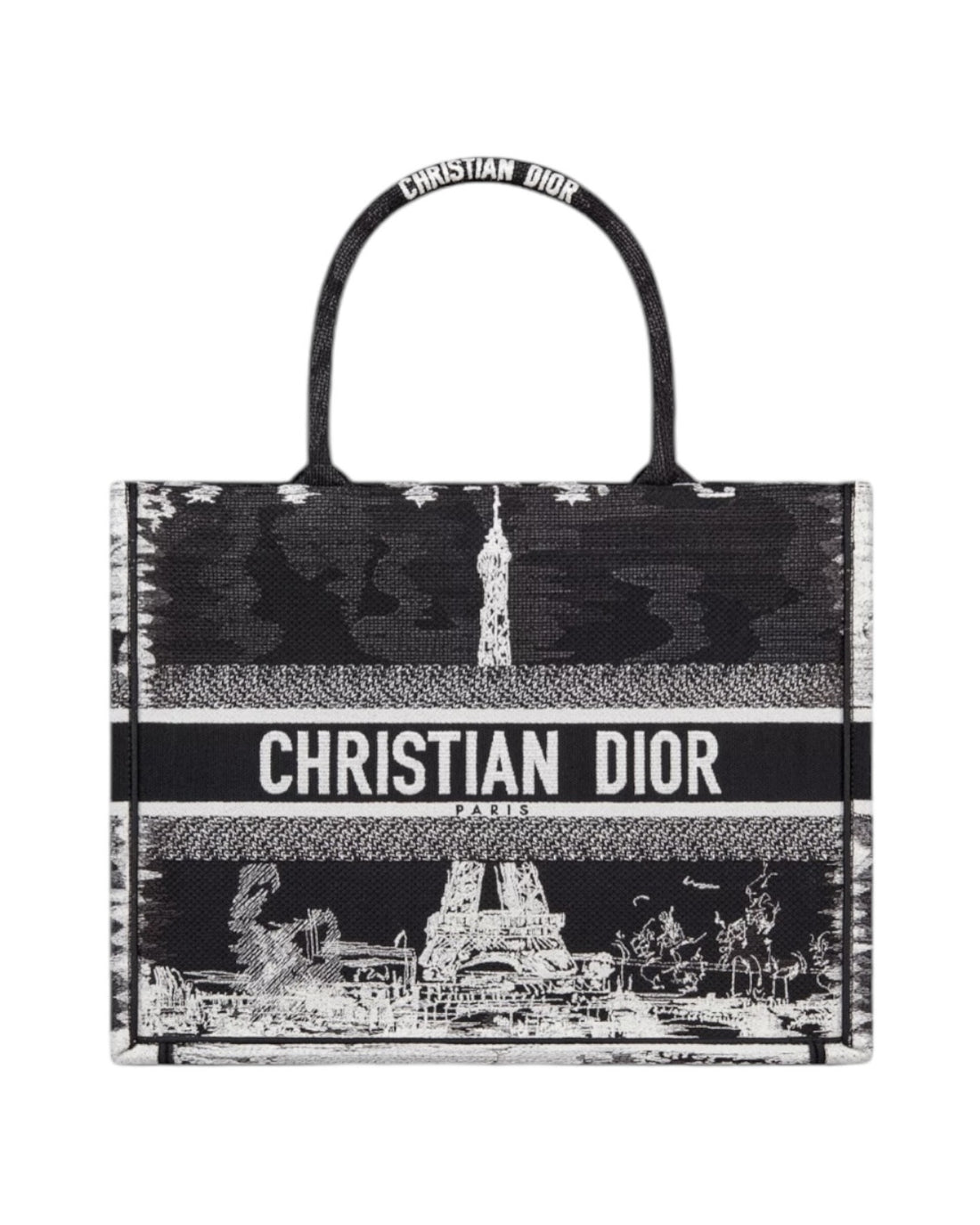 Christian Dior Book Tote Bag in Medium in Paris Stickerei