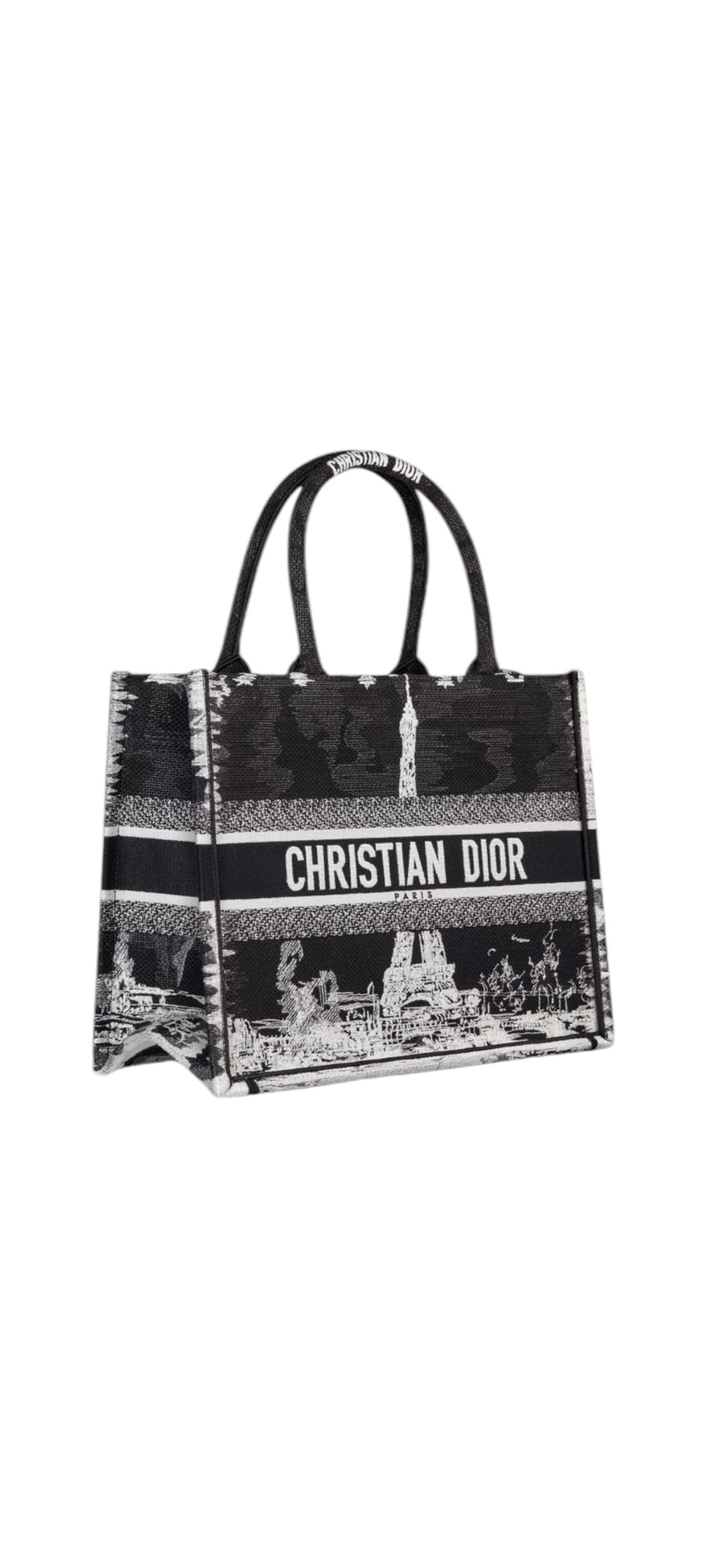 Christian Dior Book Tote Bag in Medium in Paris Stickerei