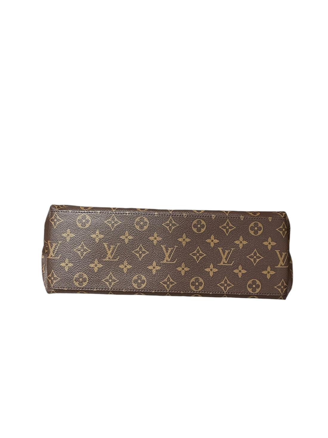 Louis Vuitton Tuileries Hobo Bag