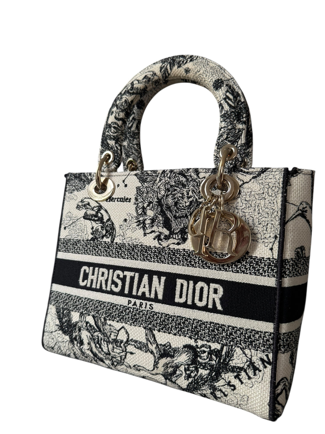 Christian Dior Lady Dior D-Lite Zodiac