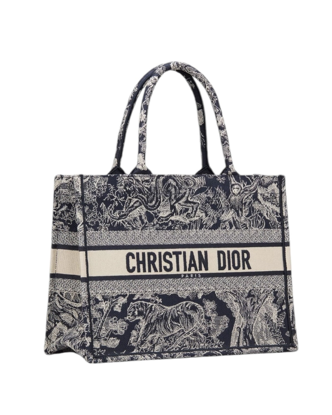 Christian Dior Book Tote Medium Bag