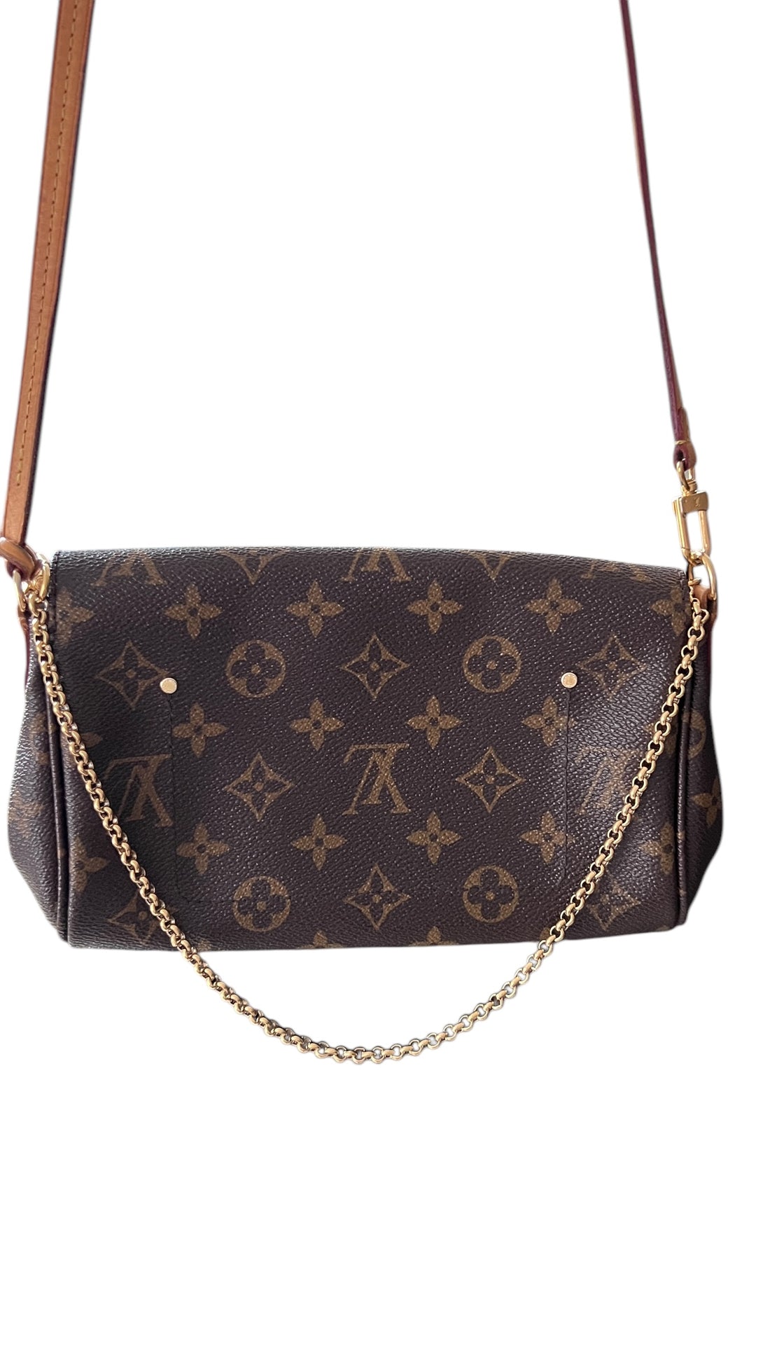 Louis Vuitton Favorite in Monogram Canvas