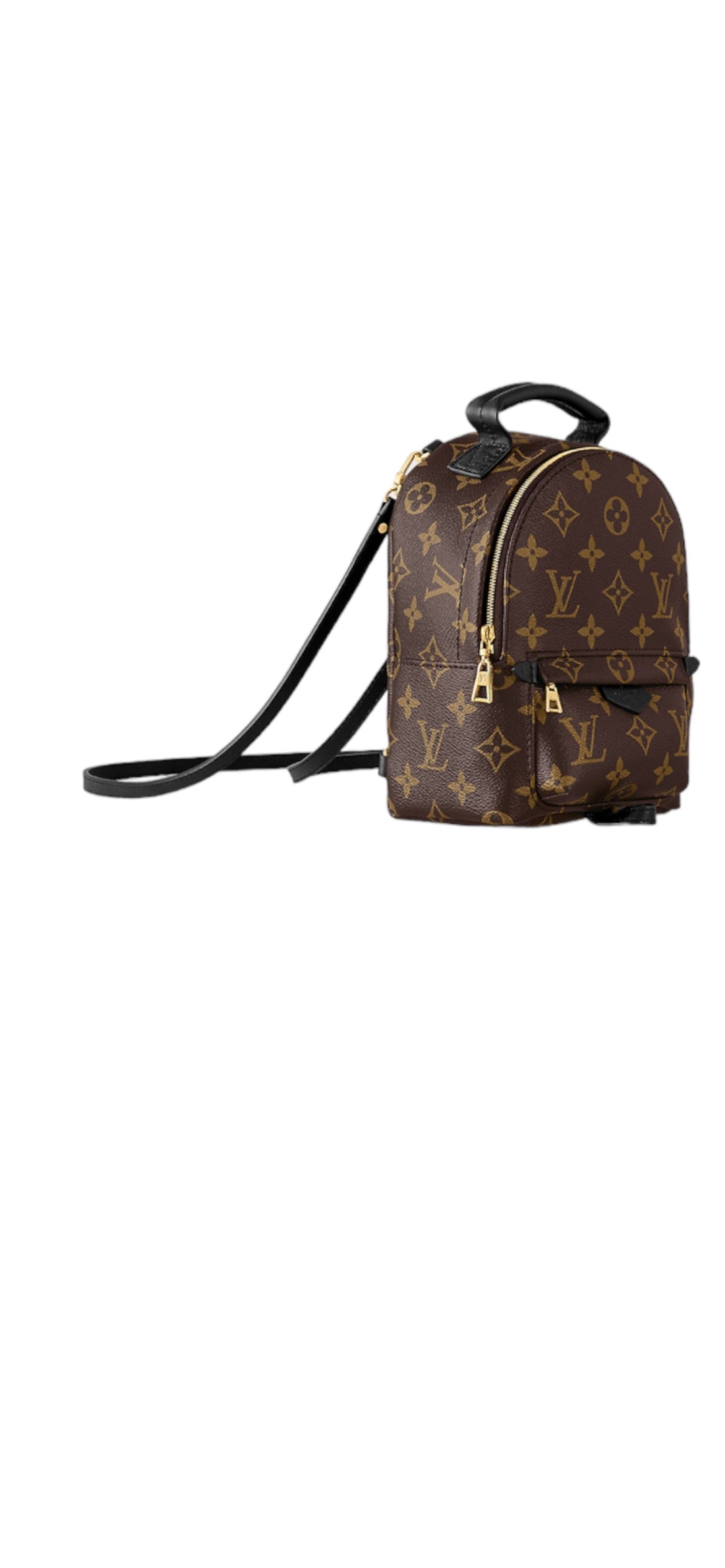 Louis Vuitton Rucksack Palm Springs Mini